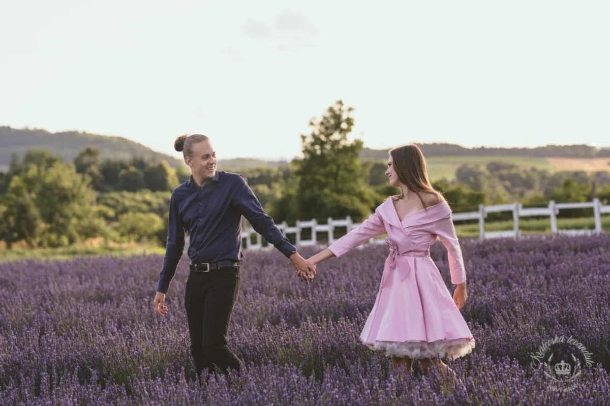 Photo from the Royal Lavender farm (4/9)