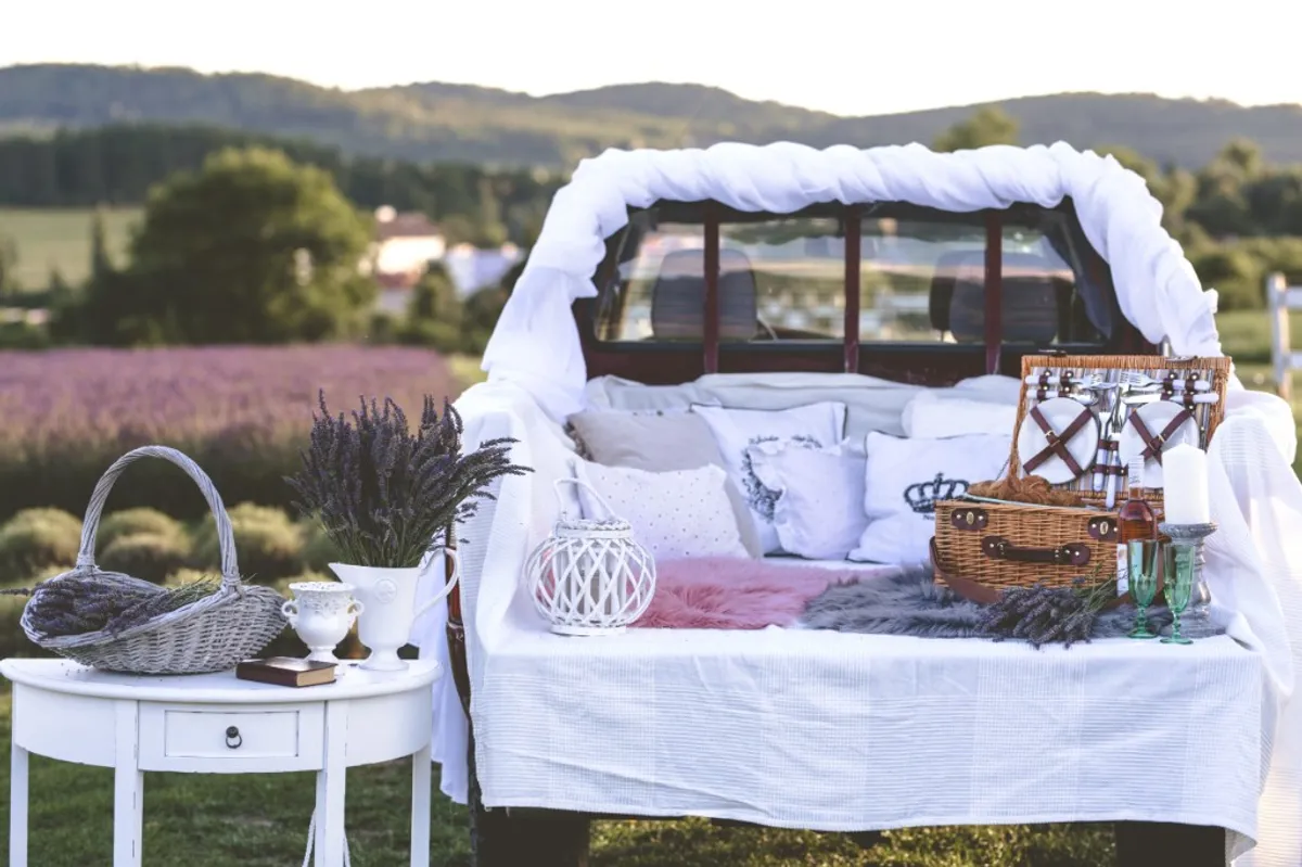 Photo from the Royal Lavender farm (6/9)