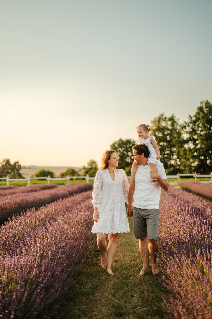 Photo from the Royal Lavender farm (17/31)