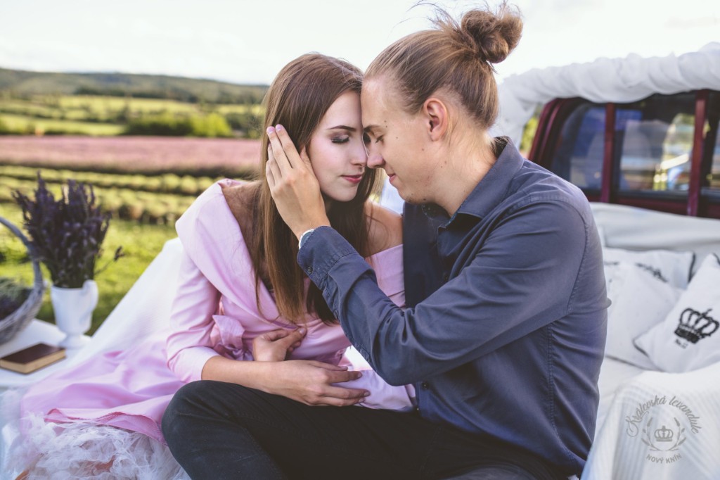 Photo from the Royal Lavender farm (20/31)