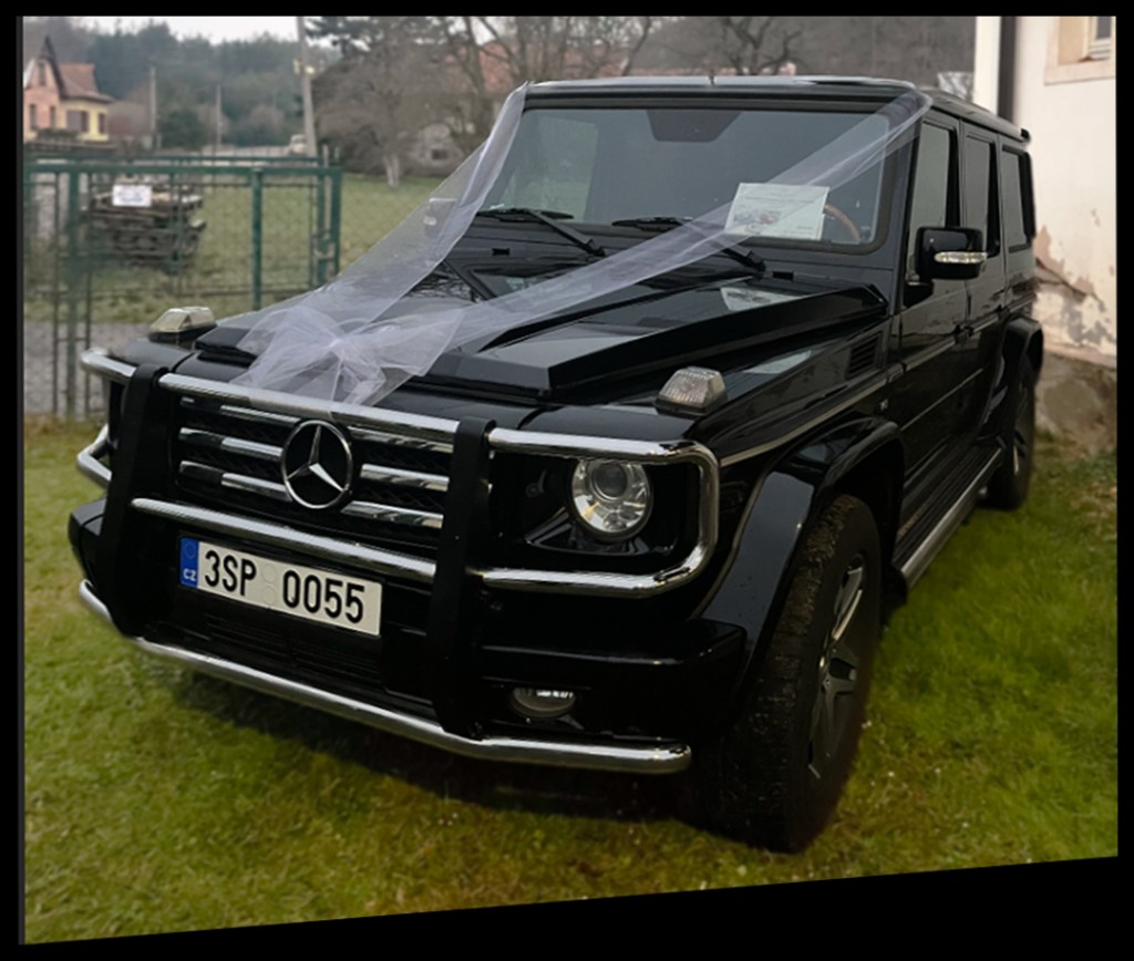 Wedding car with white ribbons at the farm
