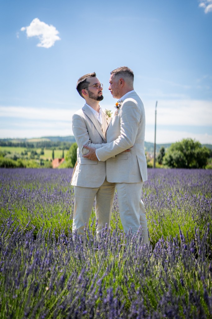 Embracing among the lavender rows under a clear blue sky