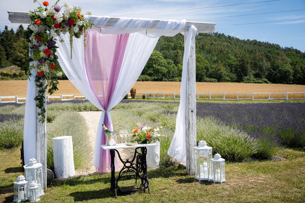 Wedding arch with champagne, flutes and florals by the lavender